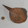 A SIMPLE IRON HOE CURRENCY FROM CAMEROON WEST AFRICA( No 1657)