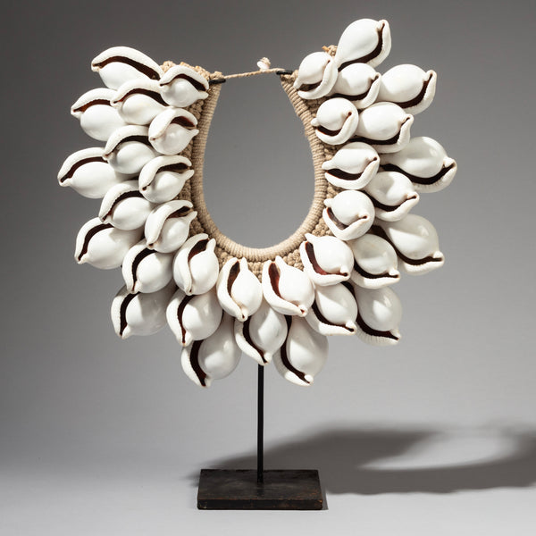 A LOVELY COWRIE SHELL NECKLACE FROM PAPUA NEW GUINEA( No 2008)