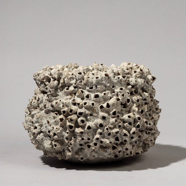 A SCULPTURAL SMALL BARNACLE POT FROM INDONESIA SE ASIA ( No 2191)