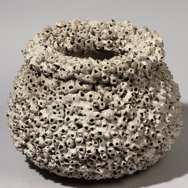 A SCULPTURAL BARNACLE POT FROM INDONESIA SE ASIA ( No 2193)