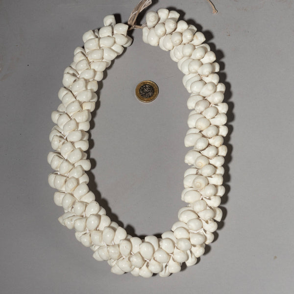 A CLUSTERED SHELL NECKLACE FROM PAPUA NEW GUINEA ( No 1903)