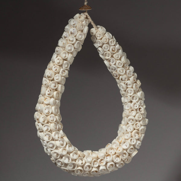 A CUTE BUNCHED SHELL NECKLACE FROM PALUA NEW GUINEA ( No 1905)