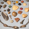 SD THE CONTENTS OF A DIVINERS BAG, YORUBA TRIBE OF NIGERIA (No 2808 )