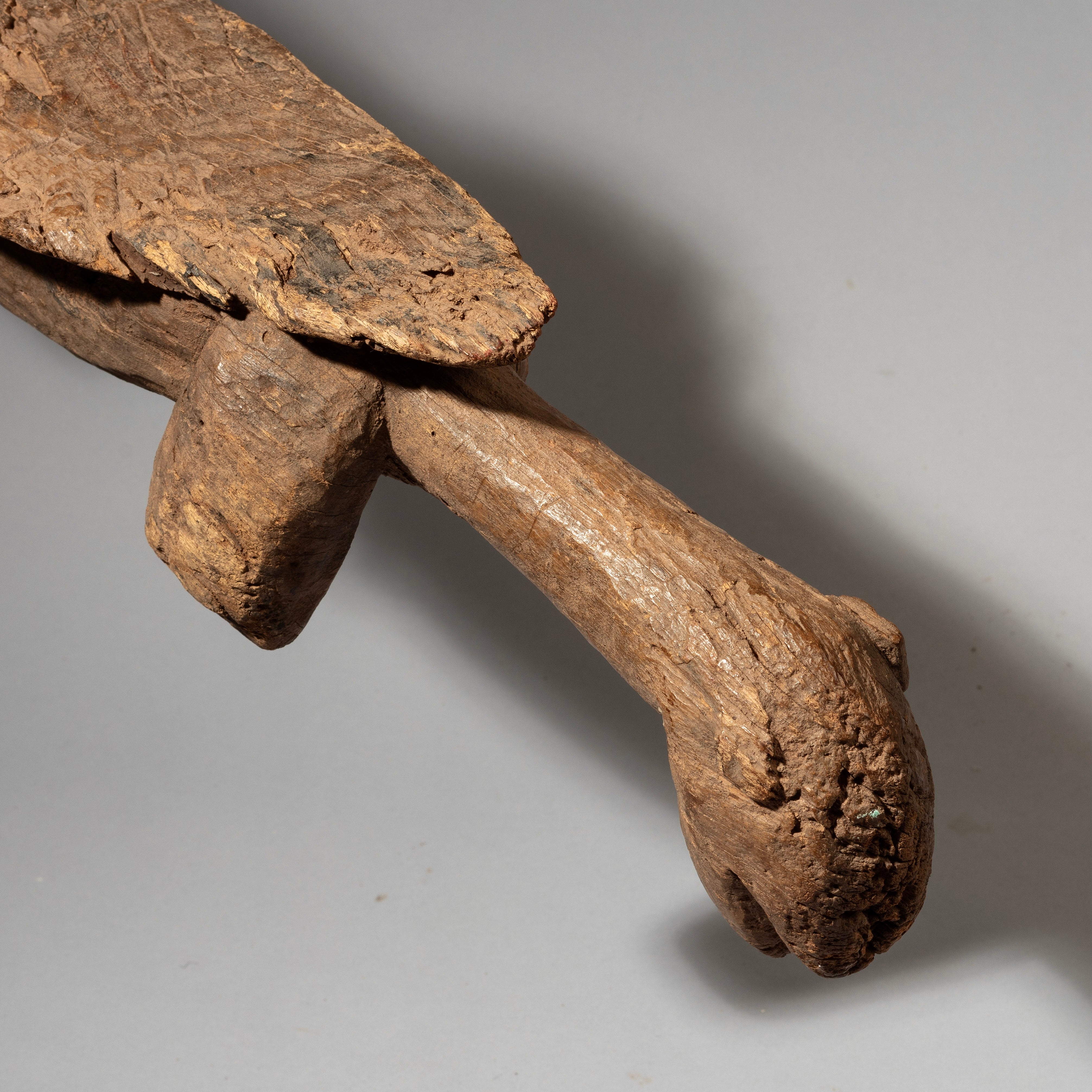 AN ERODED ANIMAL DANCE INSTRUMENT SENOUFO TRIBE BURKINA FASO ( No 1660)