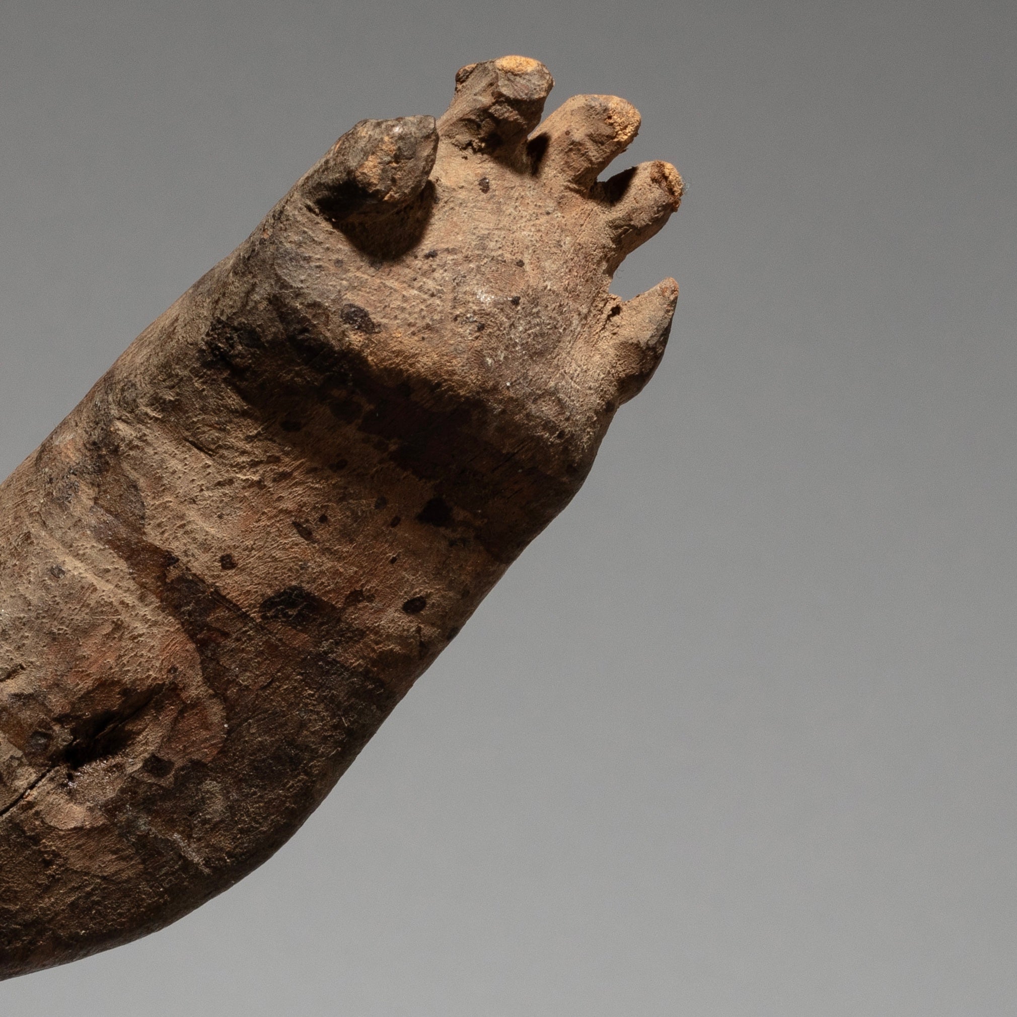 AN EXTREMELY RARE LOBI FOOT ALTAR OBJECT, FROM BURKINA FASO ( No 1792)