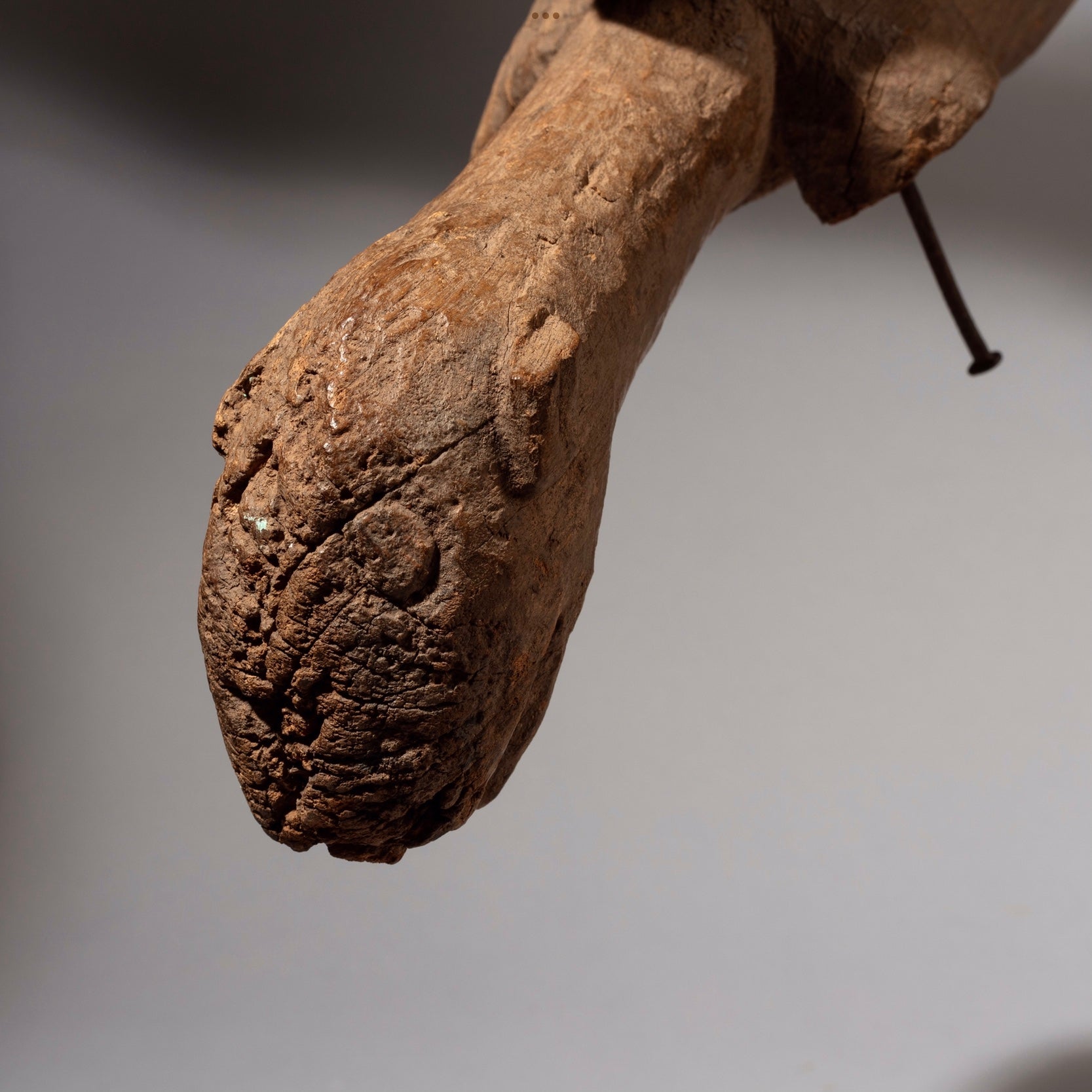 AN ERODED ANIMAL DANCE INSTRUMENT SENOUFO TRIBE BURKINA FASO ( No 1660)