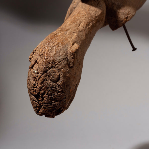 AN ERODED ANIMAL DANCE INSTRUMENT SENOUFO TRIBE BURKINA FASO ( No 1660)