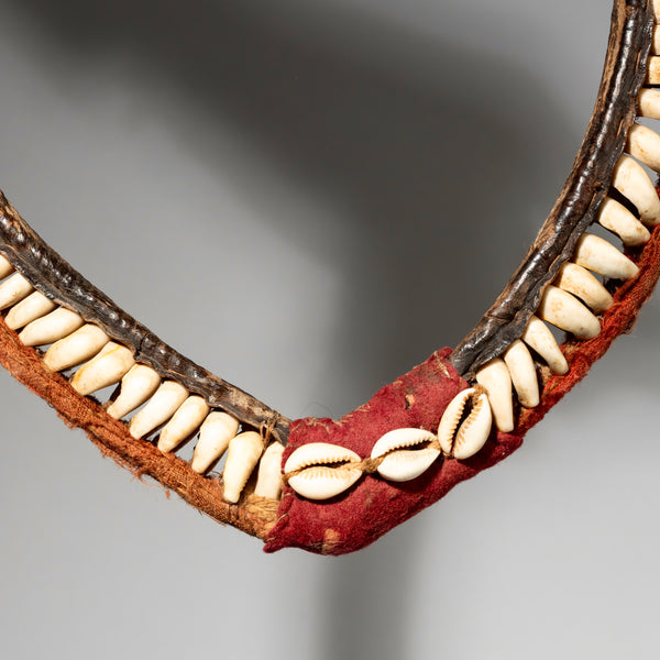 A MAGICAL COWRIE SHELL NECKLACE FROM THE IVORY COAST( No 1773)