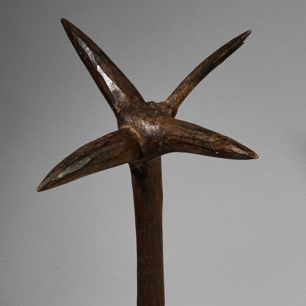 AN ORGANIC STAFF FROM GO GO TRIBE OF TANZANIA EAST.AFRICA ( No 6216