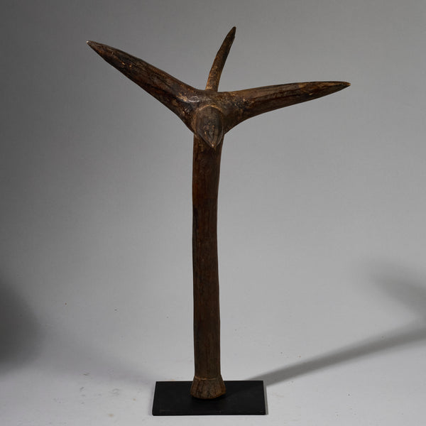 AN ORGANIC STAFF FROM GO GO TRIBE OF TANZANIA EAST.AFRICA ( No 6216