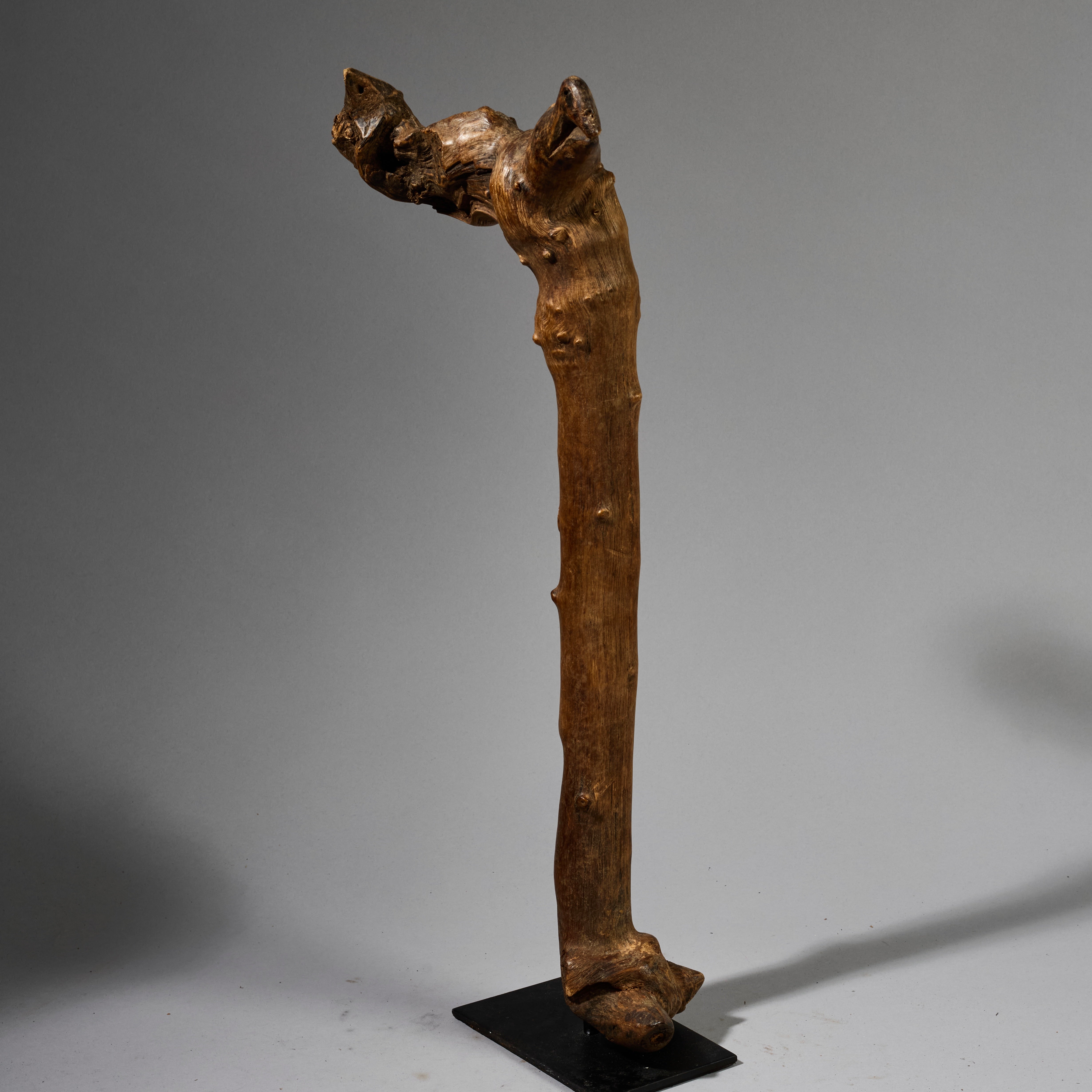 A CHUNKY ORGANIC STAFF FROM PARE TRIBE OF TANZANIA WITH BIRD MOTIFS EAST.AFRICA ( No 6215 )