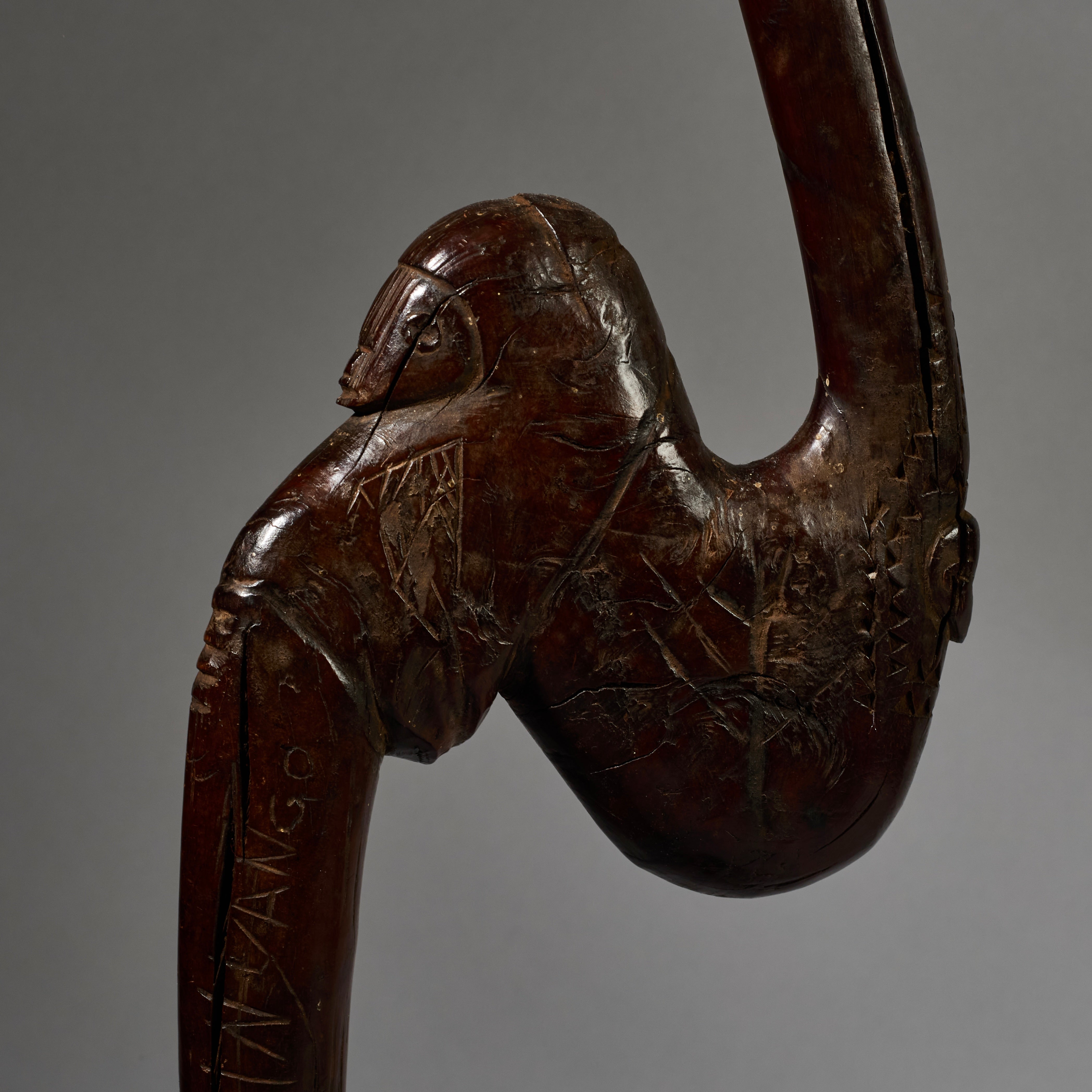 A SERPENTINE ORGANIC STAFF FROM GO GO TRIBE OF TANZANIA EAST.AFRICA ( No 6222)