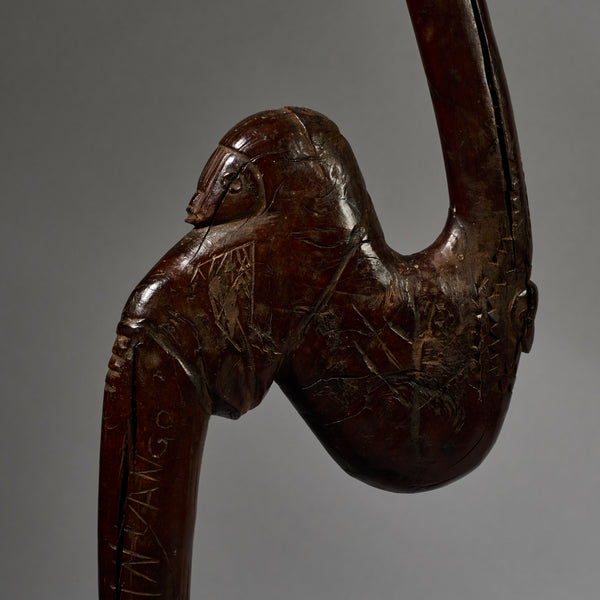 A SERPENTINE ORGANIC STAFF FROM GO GO TRIBE OF TANZANIA EAST.AFRICA ( No 6222)
