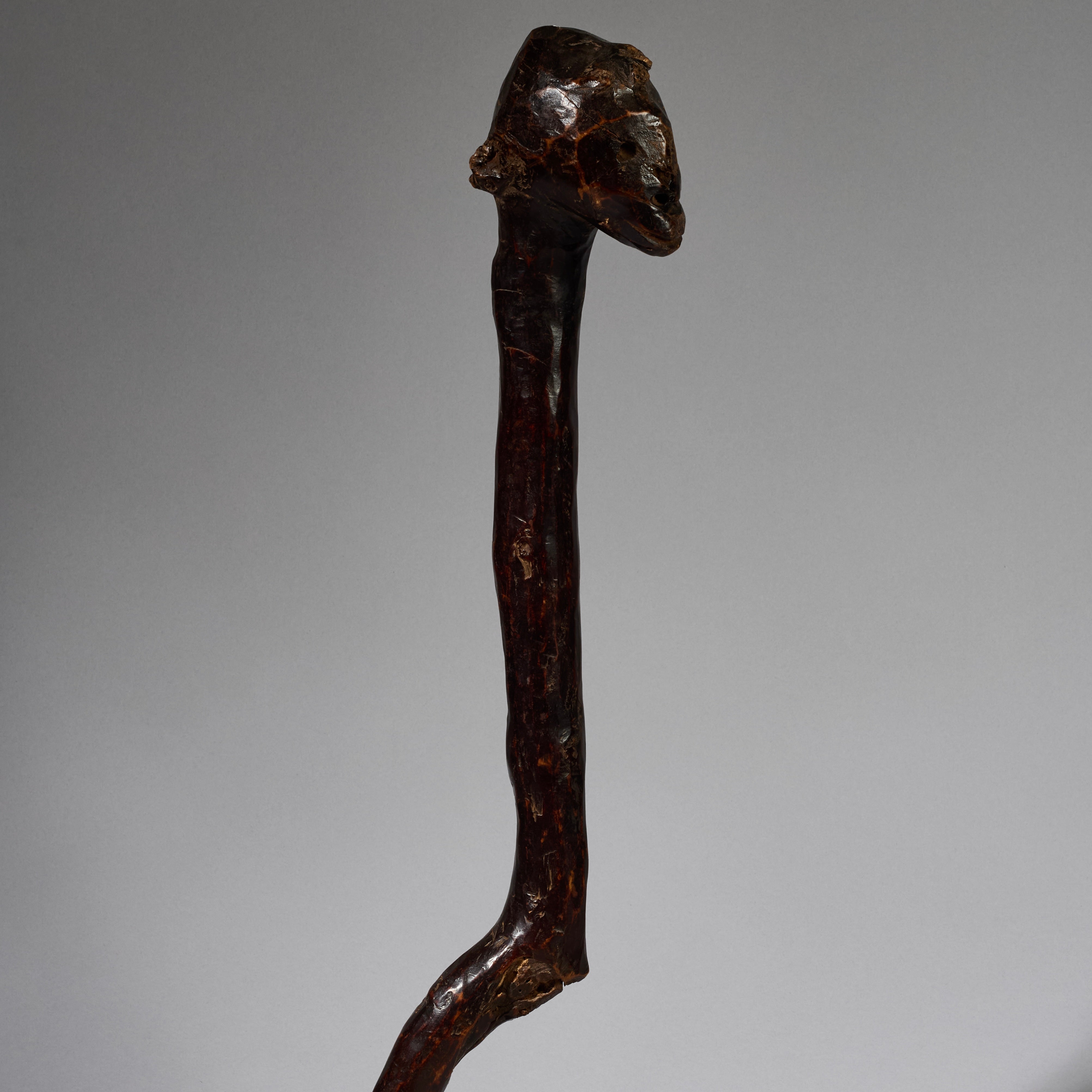 AN ORGANIC DEEPLY PATINATED BARI TRIBE CLUB FROM SUDAN  EAST.AFRICA ( No 6217)