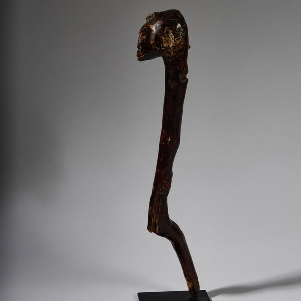 AN ORGANIC DEEPLY PATINATED BARI TRIBE CLUB FROM SUDAN  EAST.AFRICA ( No 6217)