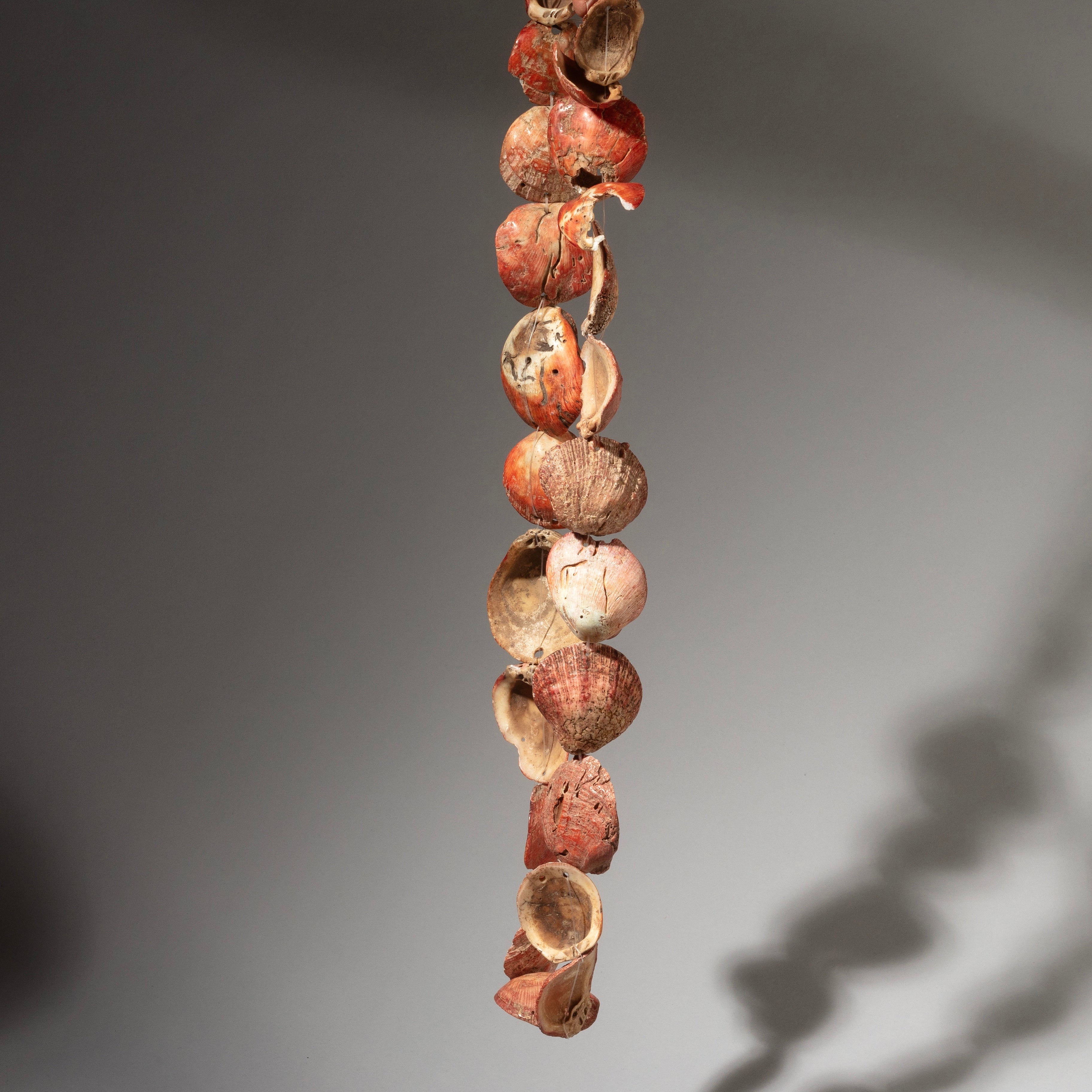 AN ORANGE  PECTEN SHELL NECKLACE,  BAULE TRIBE IVORY COAST ( No 2911 )