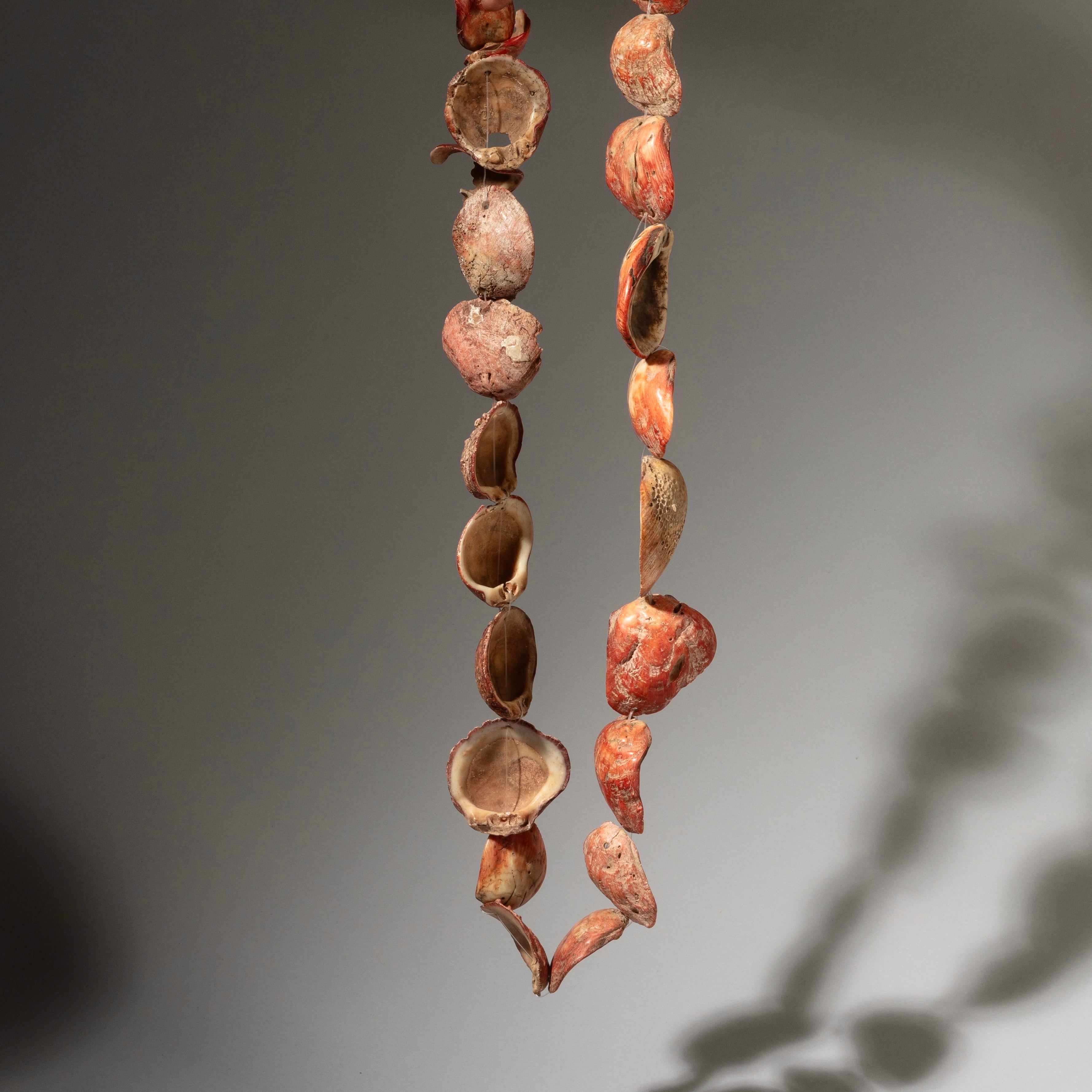 AN ORANGE  PECTEN SHELL NECKLACE,  BAULE TRIBE IVORY COAST ( No 2911 )