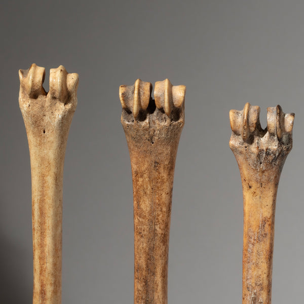 A COLLECTION OF FOUR BONE DOLLS, SOMBA TRIBE TOGO ( No 2950 )