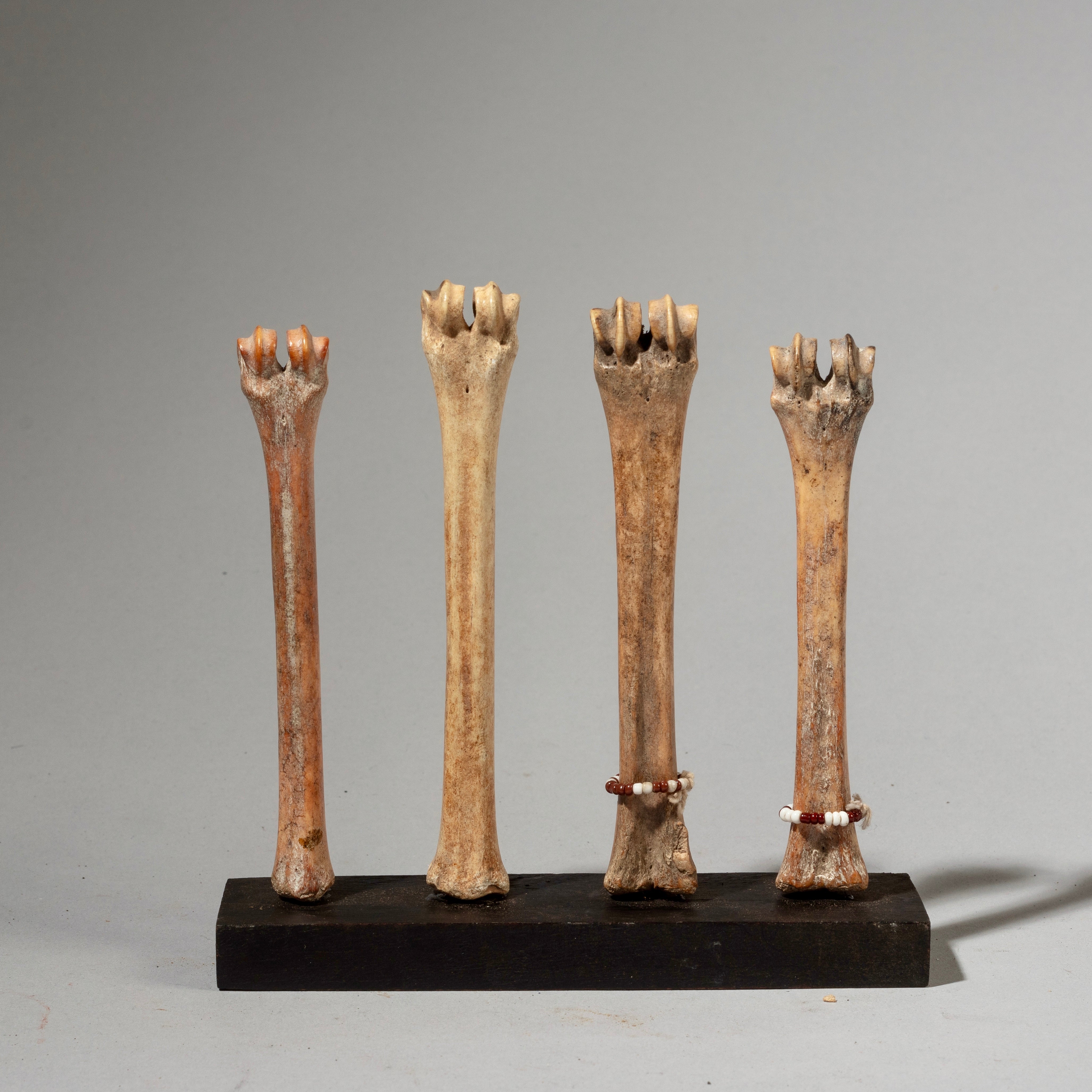 A COLLECTION OF FOUR BONE DOLLS, SOMBA TRIBE TOGO ( No 2950 )