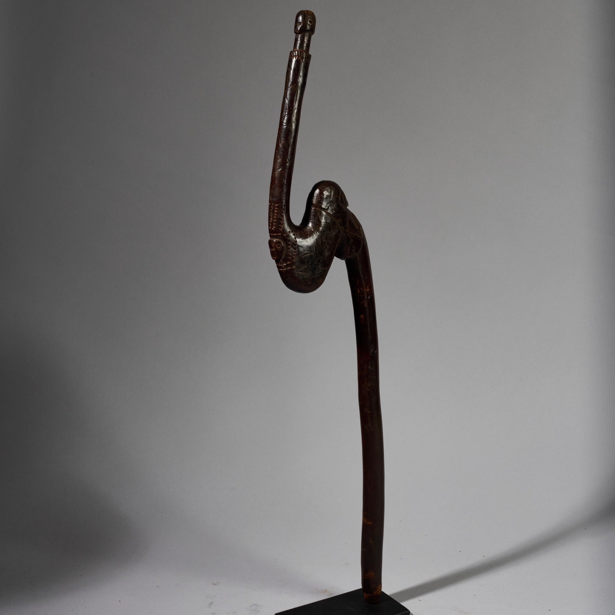 A SERPENTINE ORGANIC STAFF FROM GO GO TRIBE OF TANZANIA EAST.AFRICA ( No 6222)