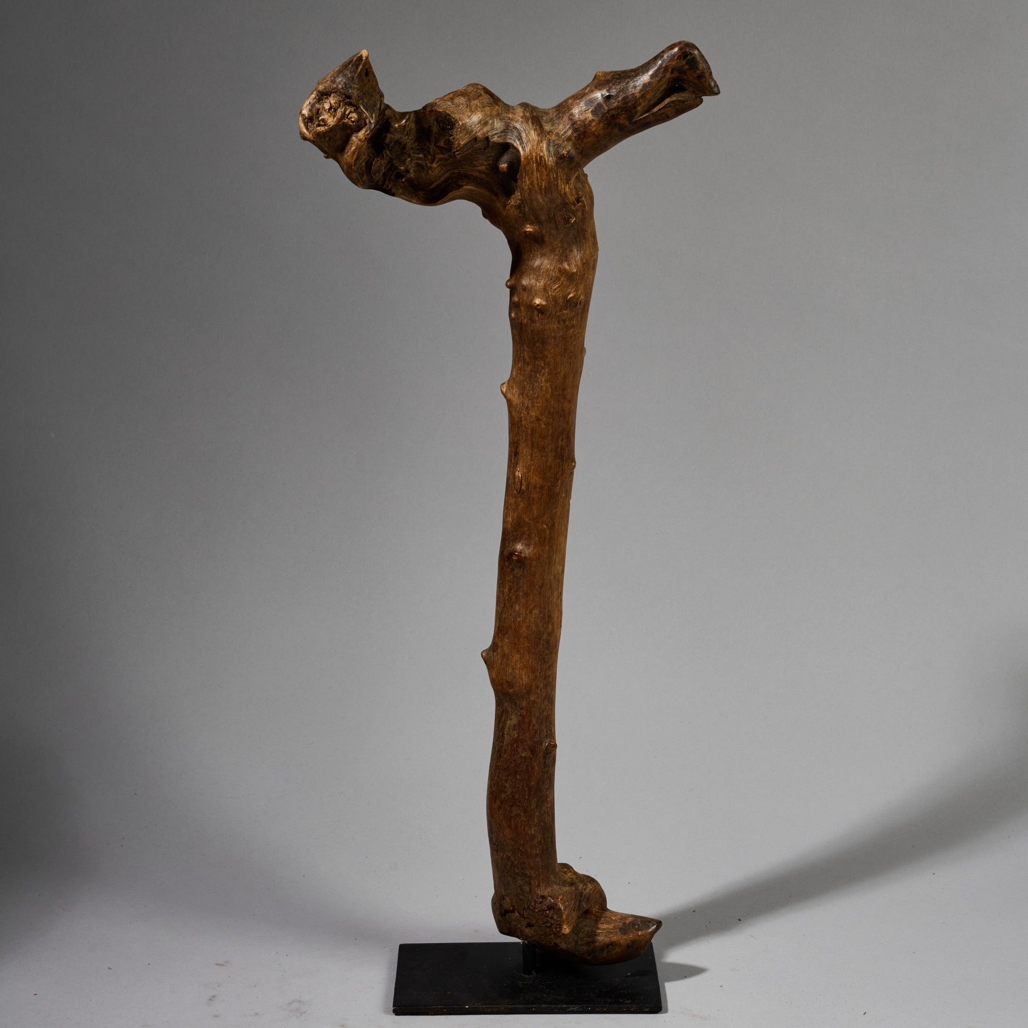 A CHUNKY ORGANIC STAFF FROM PARE TRIBE OF TANZANIA WITH BIRD MOTIFS EAST.AFRICA ( No 6215 )