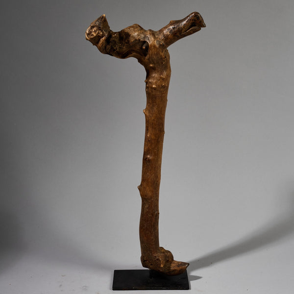 A CHUNKY ORGANIC STAFF FROM PARE TRIBE OF TANZANIA WITH BIRD MOTIFS EAST.AFRICA ( No 6215 )