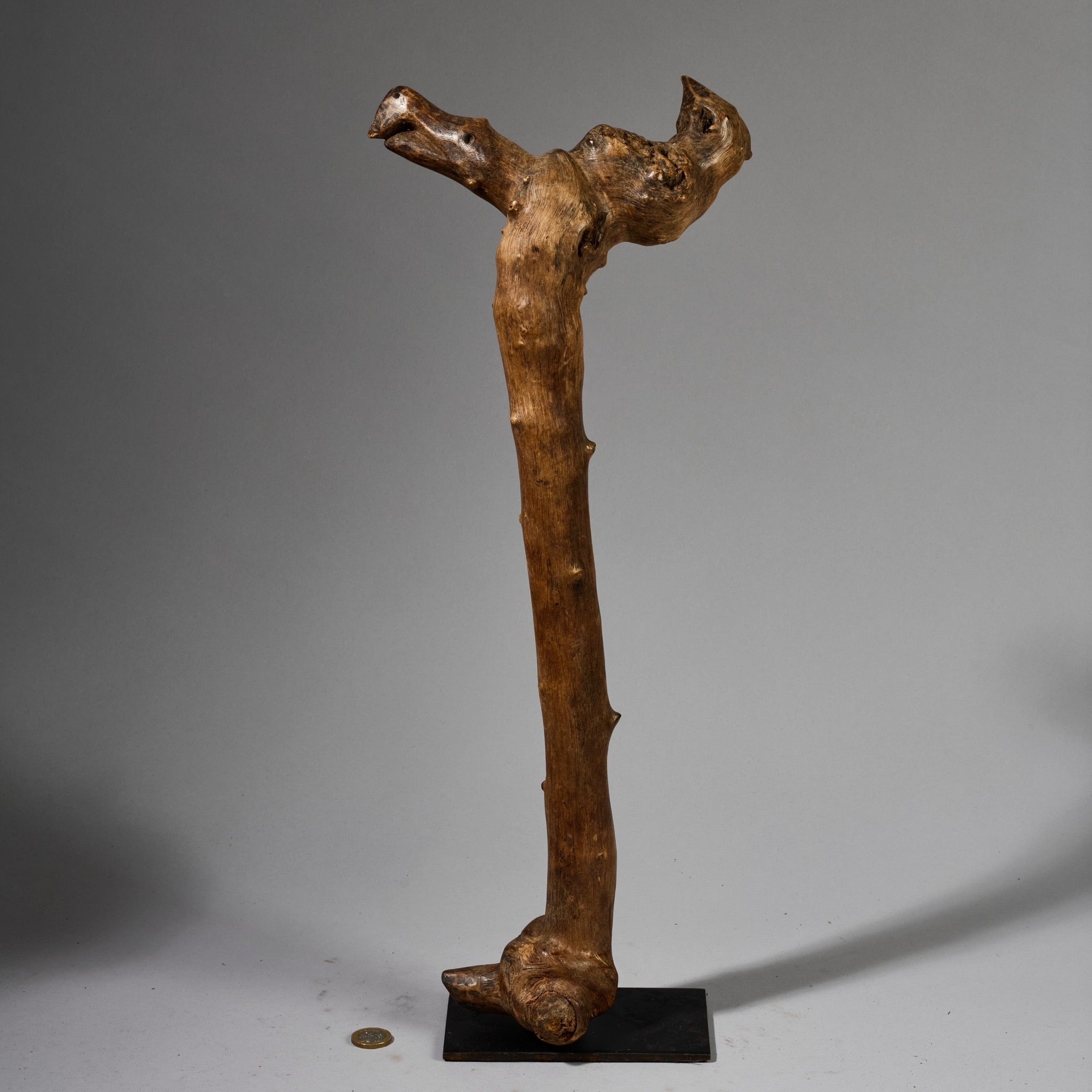 A CHUNKY ORGANIC STAFF FROM PARE TRIBE OF TANZANIA WITH BIRD MOTIFS EAST.AFRICA ( No 6215 )