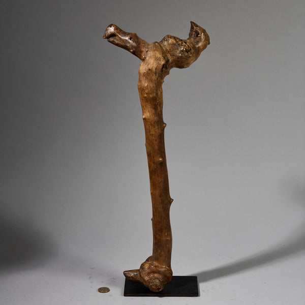 A CHUNKY ORGANIC STAFF FROM PARE TRIBE OF TANZANIA WITH BIRD MOTIFS EAST.AFRICA ( No 6215 )