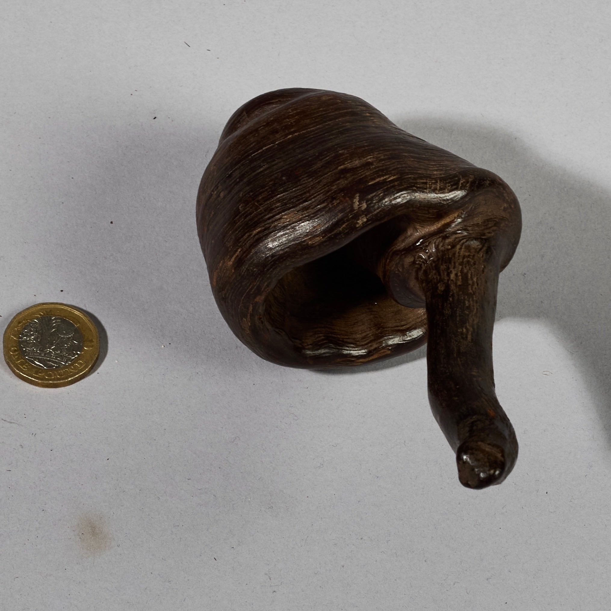 A BIZARRE FUNGI FETISH FROM THE PARE TRIBE OF TANZANIA EAST AFRICA( No 6277)