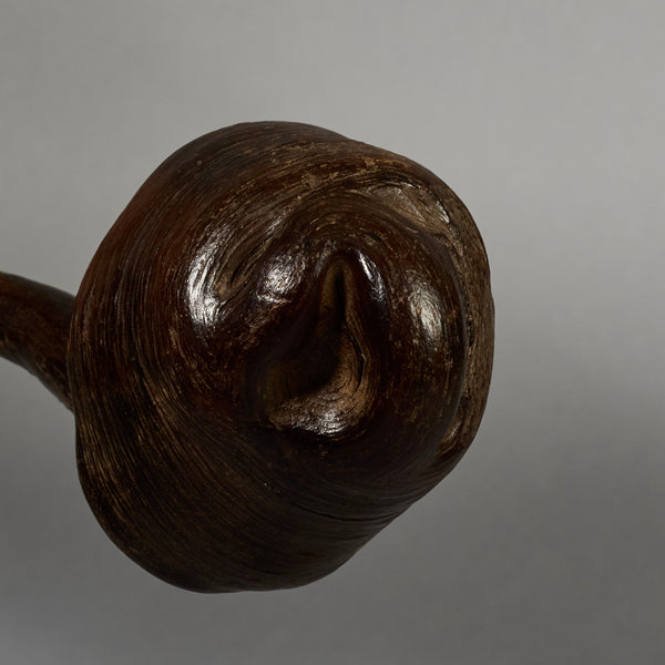 A BIZARRE FUNGI FETISH FROM THE PARE TRIBE OF TANZANIA EAST AFRICA( No 6277)