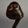 A BIZARRE FUNGI FETISH FROM THE PARE TRIBE OF TANZANIA EAST AFRICA( No 6277)