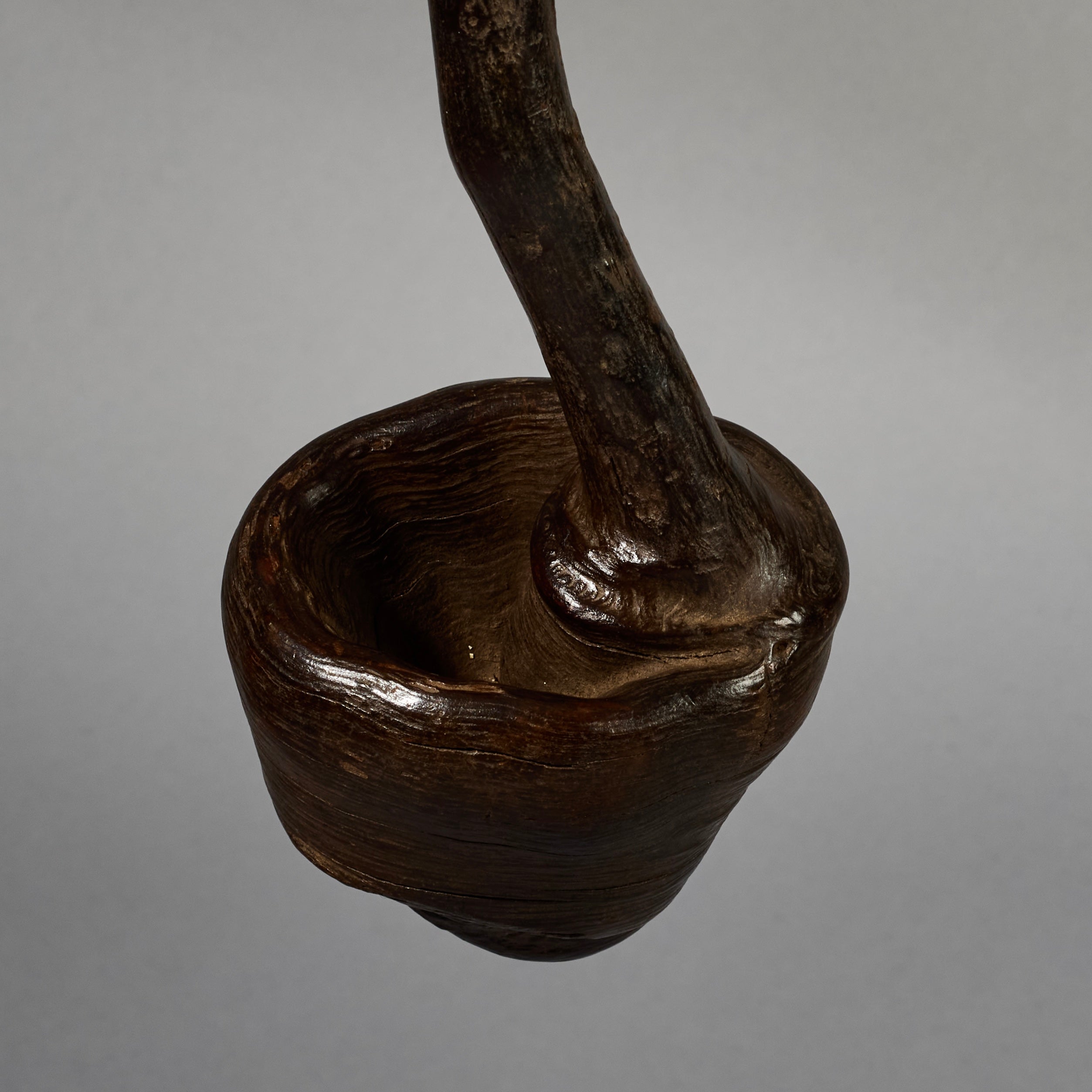 A BIZARRE FUNGI FETISH FROM THE PARE TRIBE OF TANZANIA EAST AFRICA( No 6277)