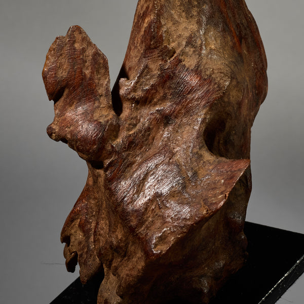 A NATURAL FETISH FROM THE PARE TRIBE OF TANZANIA EAST AFRICA( No 6275)