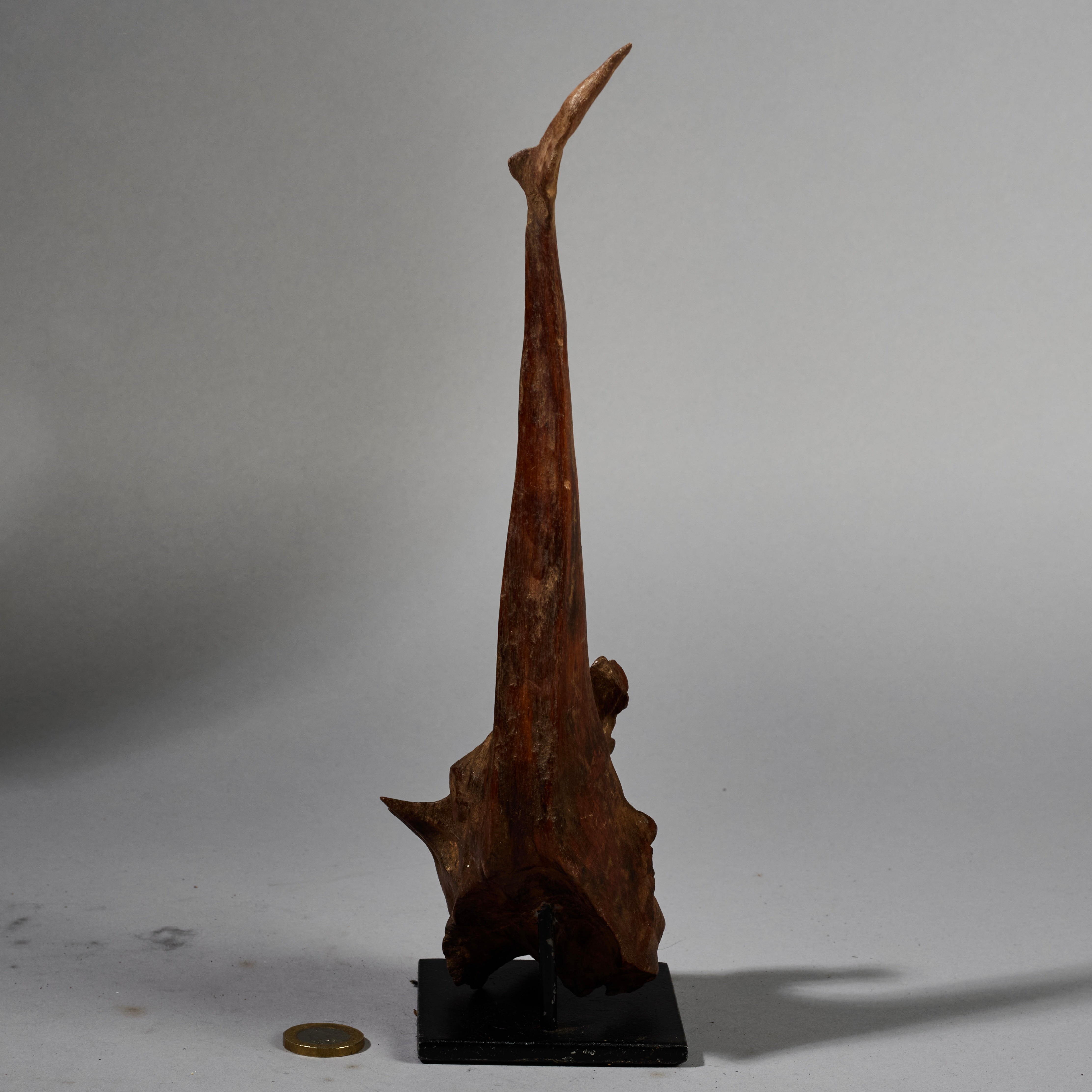 A NATURAL FETISH FROM THE PARE TRIBE OF TANZANIA EAST AFRICA( No 6275)