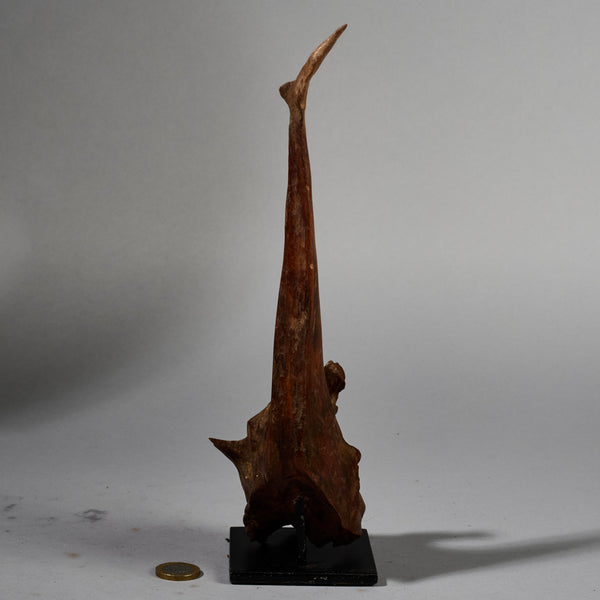 A NATURAL FETISH FROM THE PARE TRIBE OF TANZANIA EAST AFRICA( No 6275)
