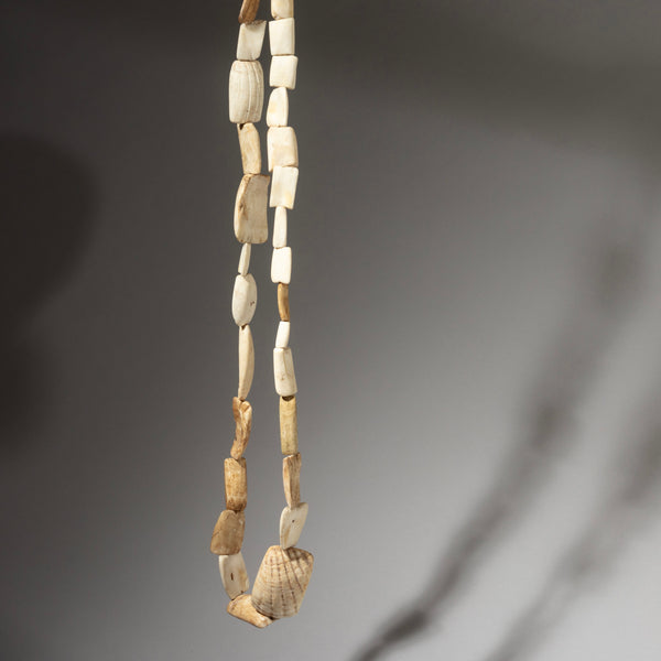 A LONG “HIPPO TOOTH” SHELL CURRENCY NECKLACE FROM WEST AFRICA  ( No 2925 )