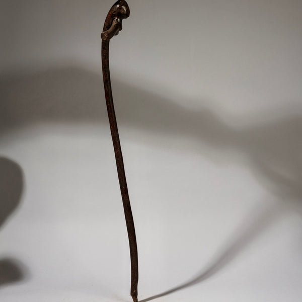 A SEMI ABSTRACT SCULPTURAL STAFF, PARE TRIBE OF TANZANIA ( No 2223)