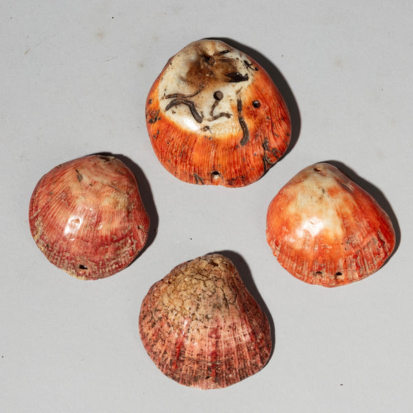 A PRETTY SET OF 4 BAULE TRIBE PINK SHELLS , IVORY COAST ( No 4043 )
