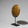 A GLOSSY PATINATED 19THC AKAN GOLD MEASURING DISC BAULE TRIBE ( No 4040 )