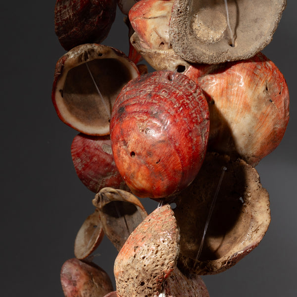 A LONG CORAL COLOURED  PECTEN SHELL NECKLACE,  BAULE TRIBE IVORY COAST ( No 4092 )
