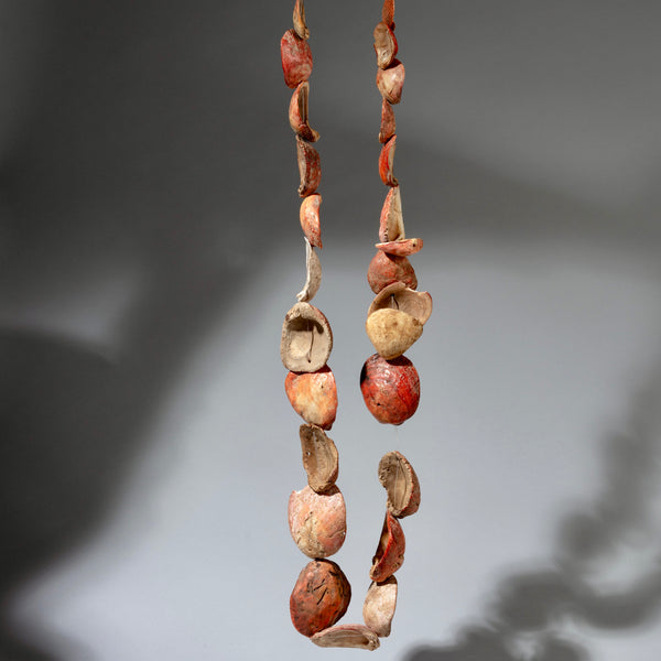 A LONG CORAL COLOURED  PECTEN SHELL NECKLACE,  BAULE TRIBE IVORY COAST ( No 4092 )