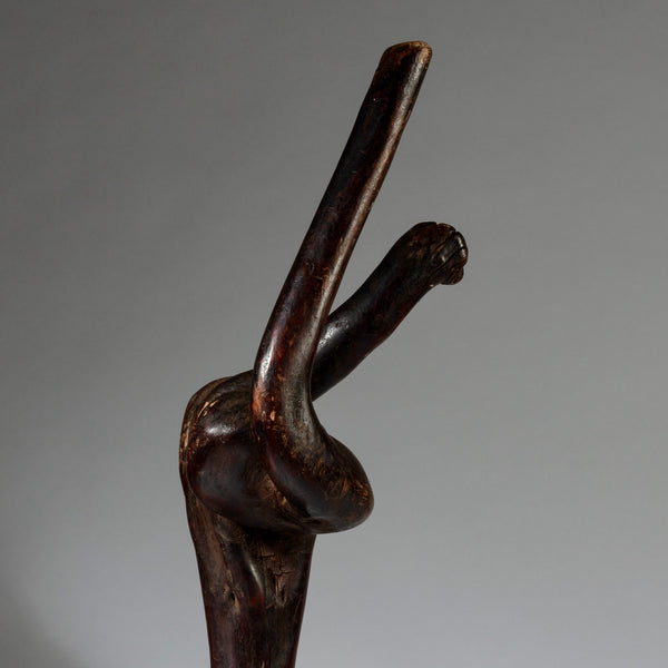AN ORGANICALLY SHAPED FIGURAL STAFF FROM TANZANIA EAST.AFRICA ( No 4076)