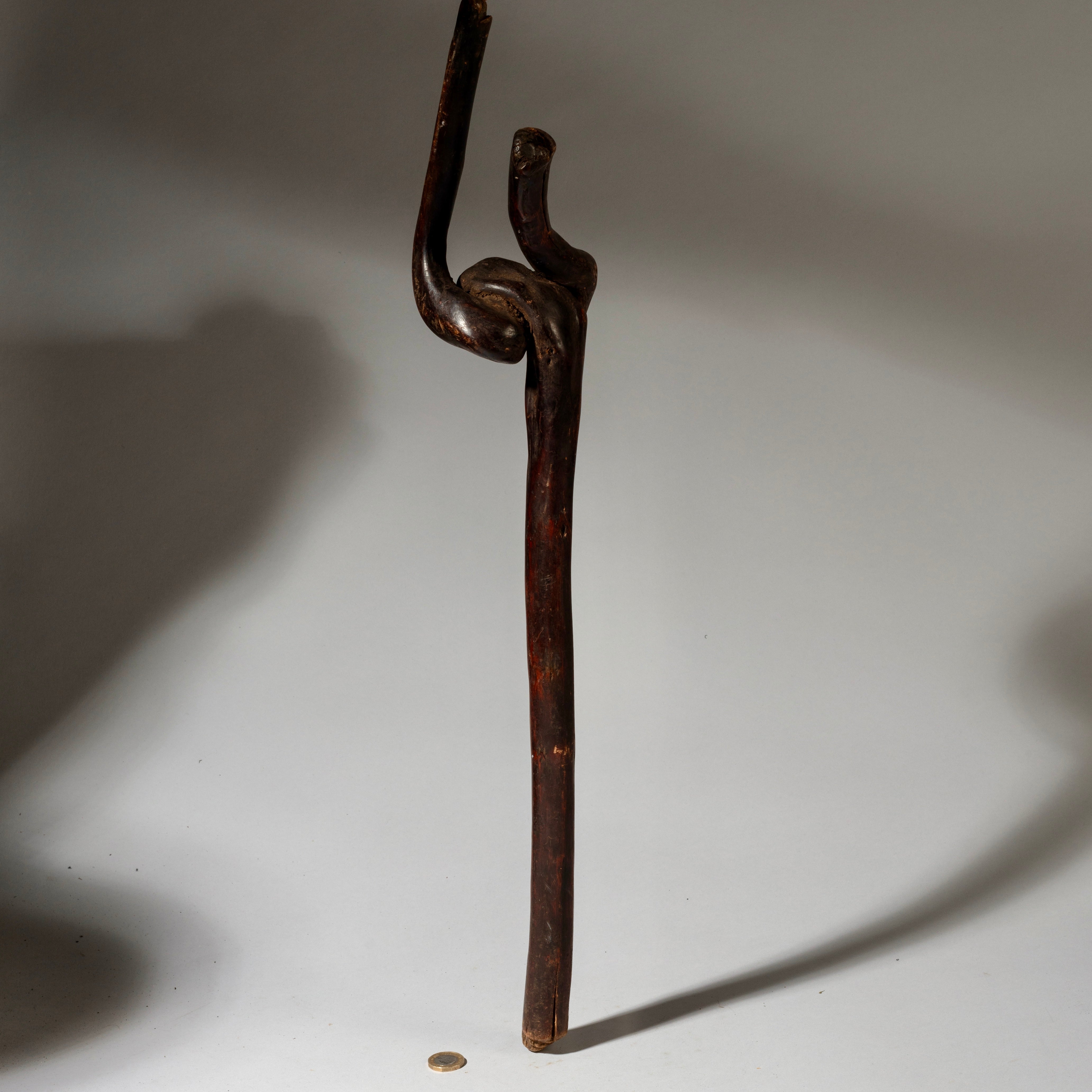 AN ORGANICALLY SHAPED FIGURAL STAFF FROM TANZANIA EAST.AFRICA ( No 4076)