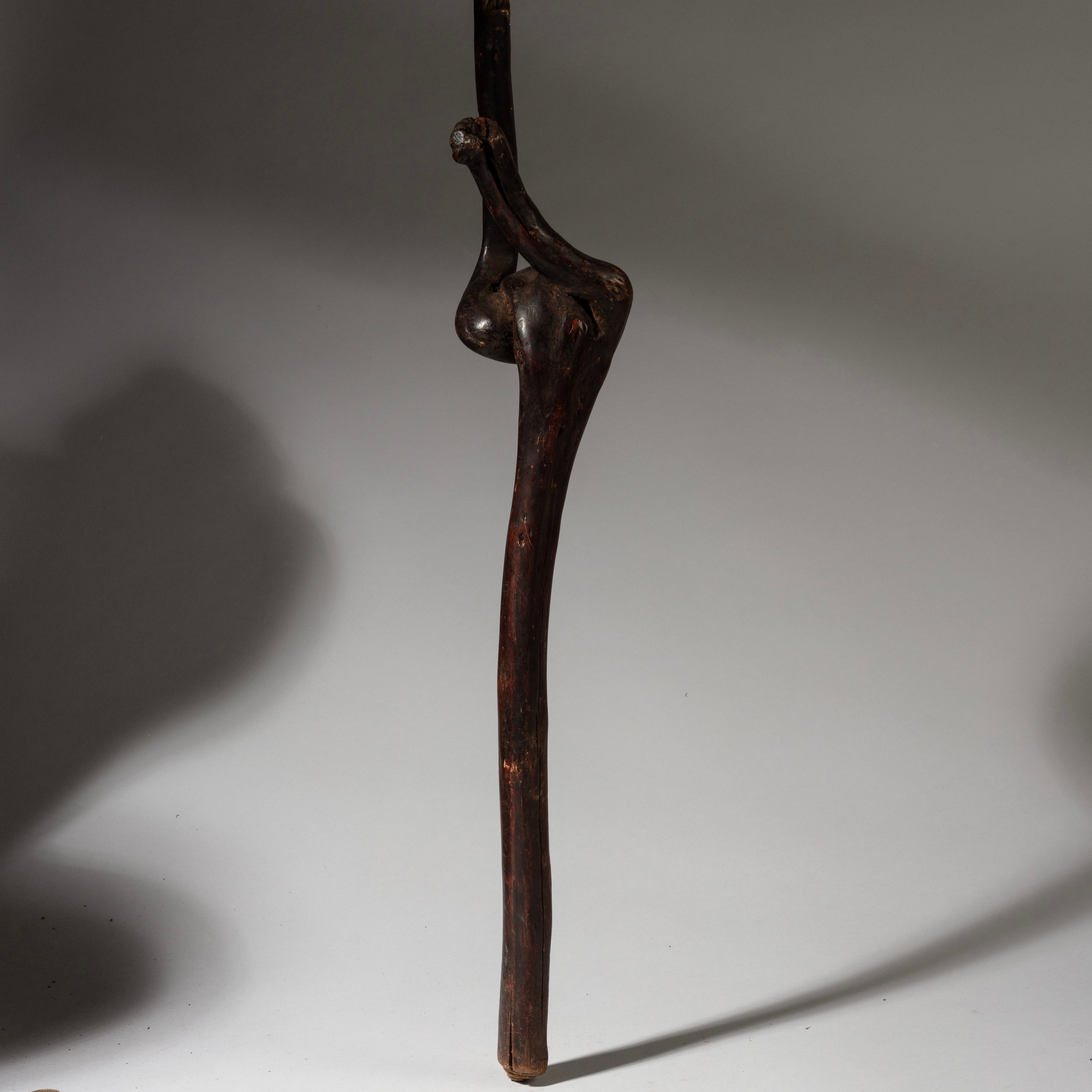 AN ORGANICALLY SHAPED FIGURAL STAFF FROM TANZANIA EAST.AFRICA ( No 4076)