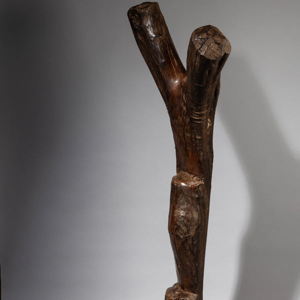 A LARGE +WELL PATINATED DOGON LADDER FROM MALI ( No 2432 )