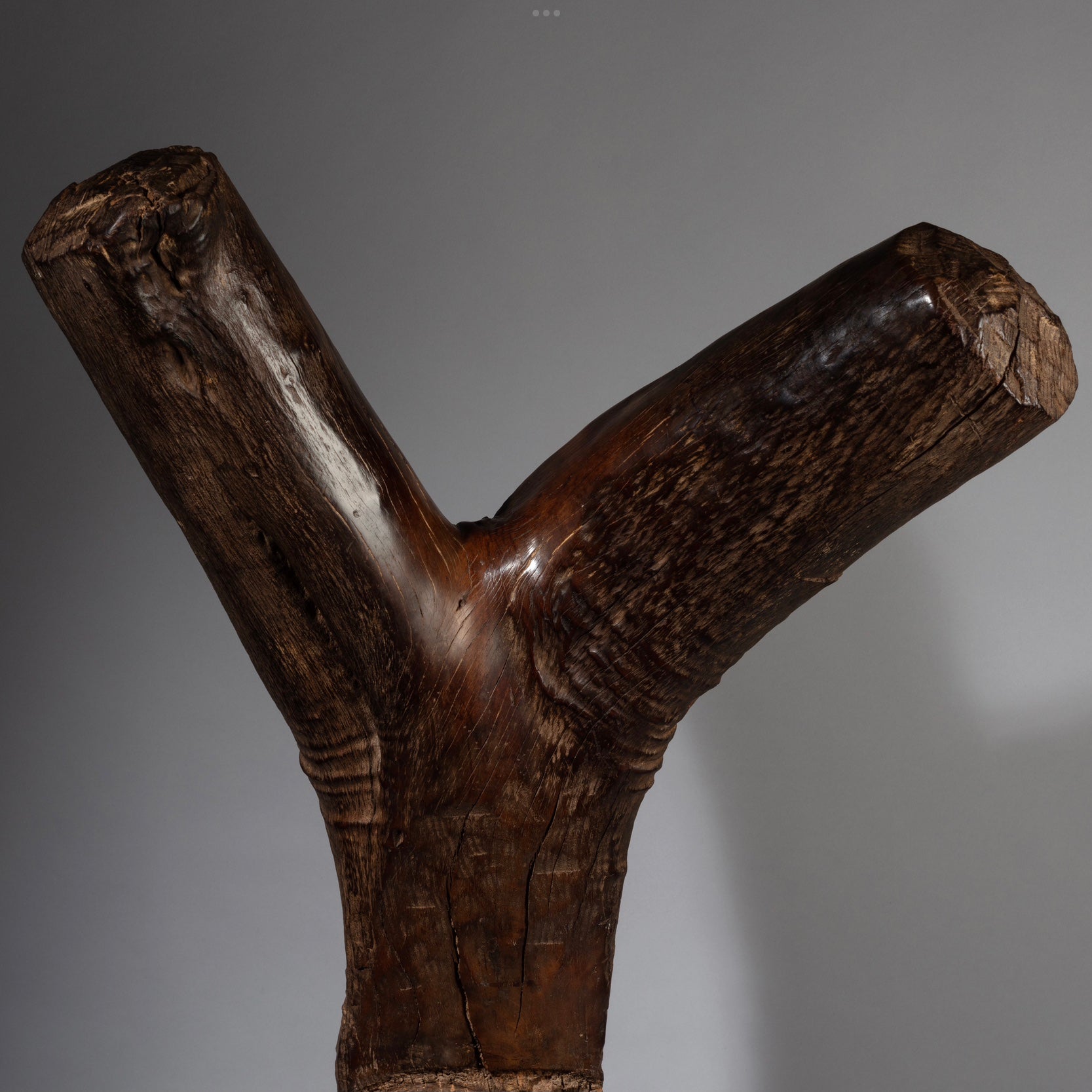 A LARGE +WELL PATINATED DOGON LADDER FROM MALI ( No 2432 )