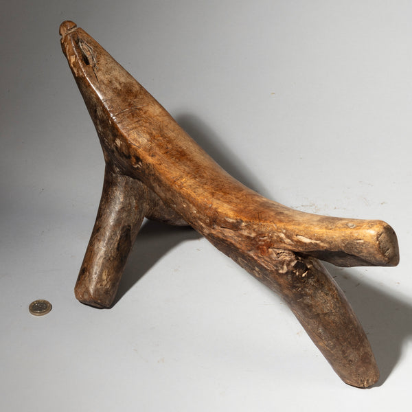 FASCINATING LARGE HEADREST FROM THE DINKA TRIBE EAST AFRICA ( No 4241 )