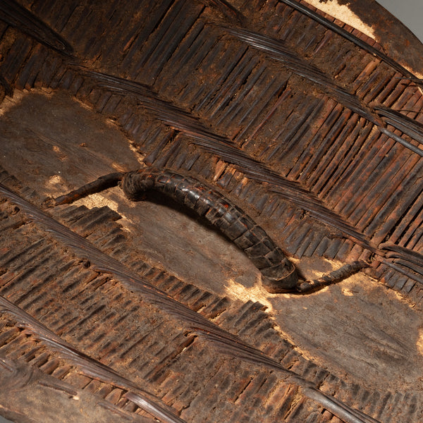 A WOVEN SHIELD WITH 3 NIPPLES, FROM GANDA TRIBE OF NIGERIA, W.AFRICA ( No 4298 )