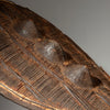 A WOVEN SHIELD WITH 3 NIPPLES, FROM GANDA TRIBE OF NIGERIA, W.AFRICA ( No 4298 )