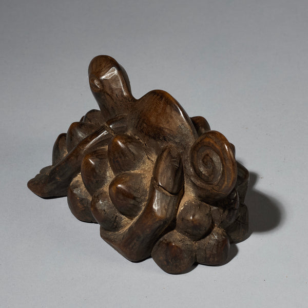 A WONDERFUL SENUFO CHAMELEON CHARM, FROM IVORY COAST W. AFRICA ( No 2800 )